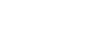 Dogibear: High-quality branding and product design services to enhance the company’s market presence and identity.