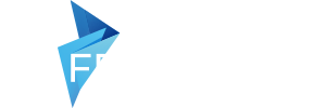Festinus: Corporate identity, website, and print designs created to reflect the brand’s unique value and modern aesthetic.